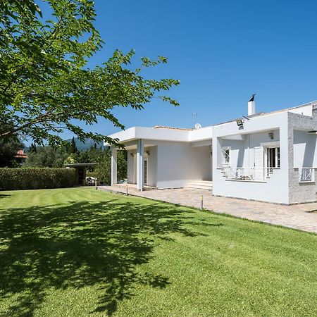 Villa Nefeli With Private Pool By Konnect Dassia  Eksteriør billede